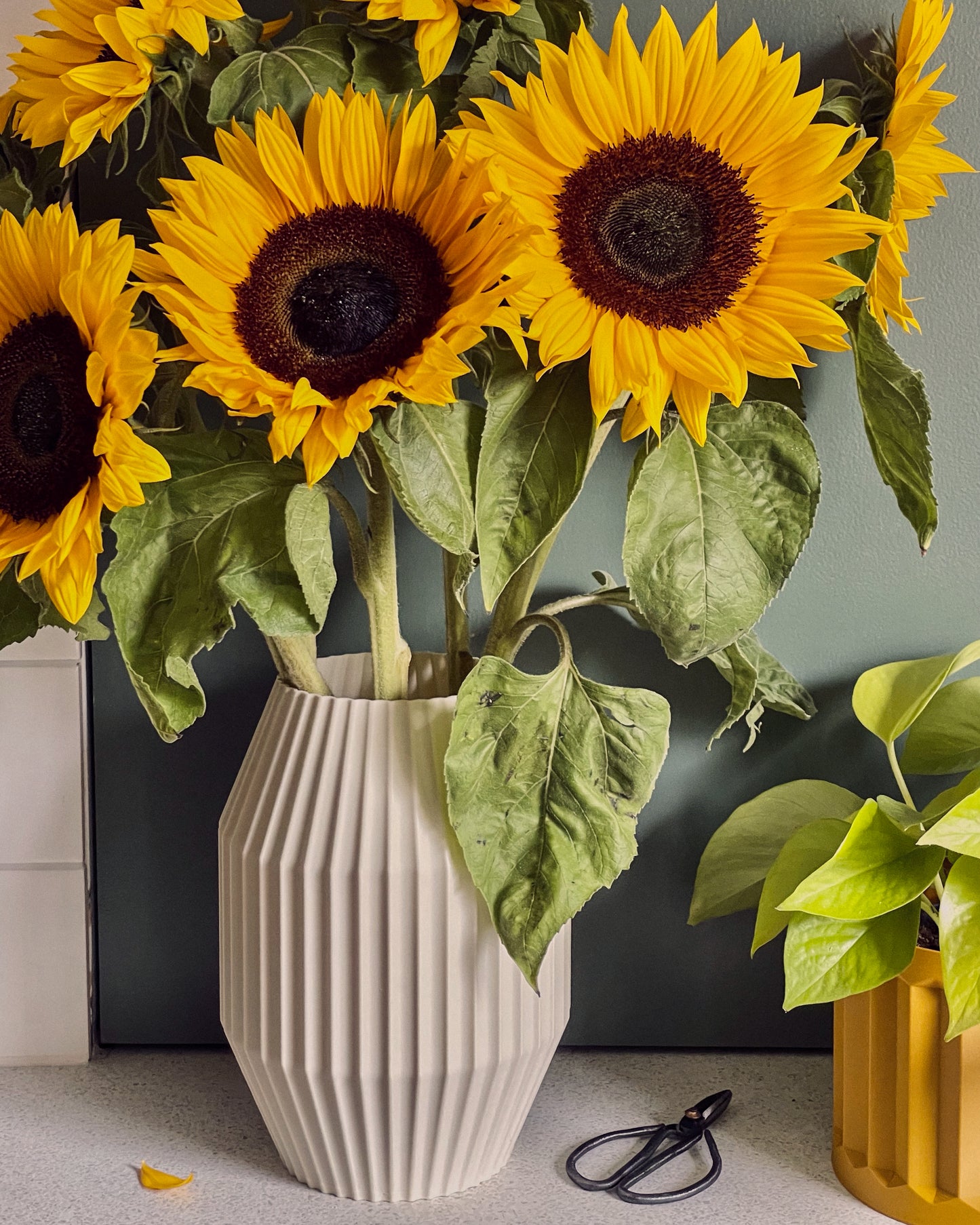 Contemporary fluted vase