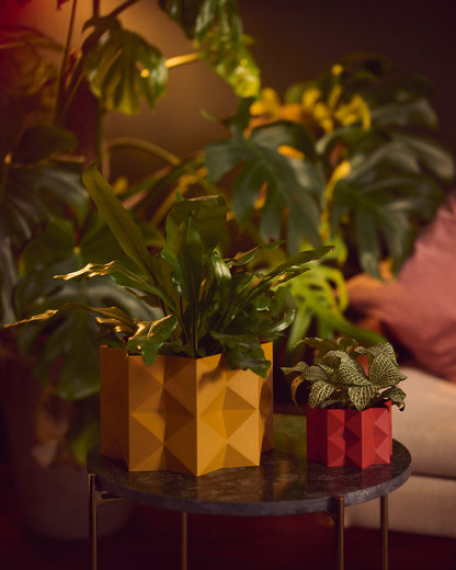 Origami Planter - 2 section